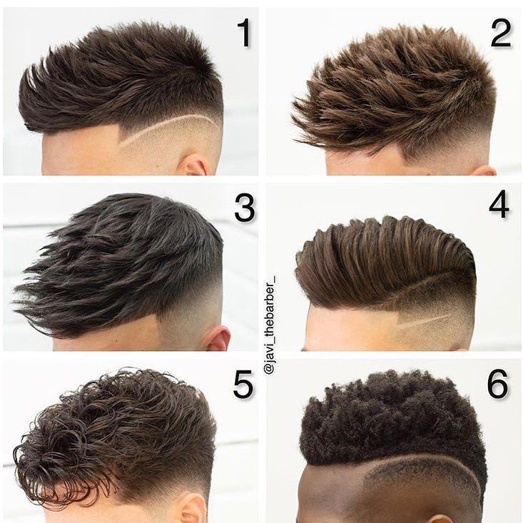 Corte